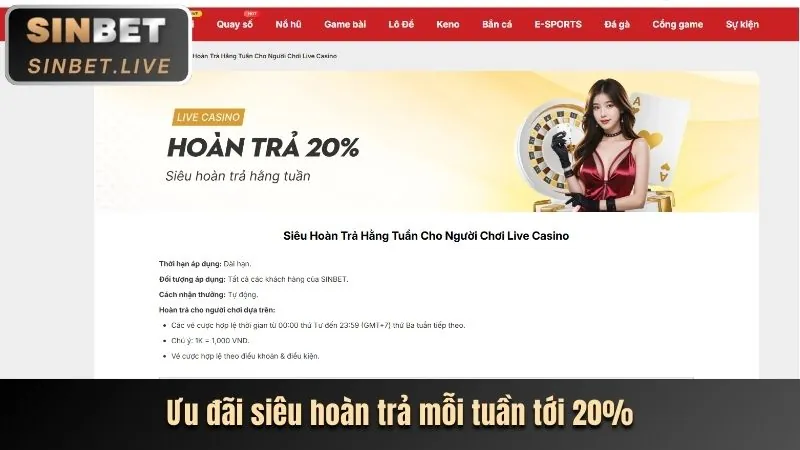 Cập nhật chiến lược cá cược mới